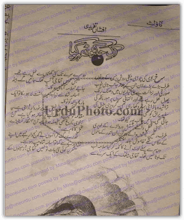 Ek jugnu thehr gaya by Afshan Afridi Online Reading