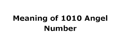 meaning of 1010