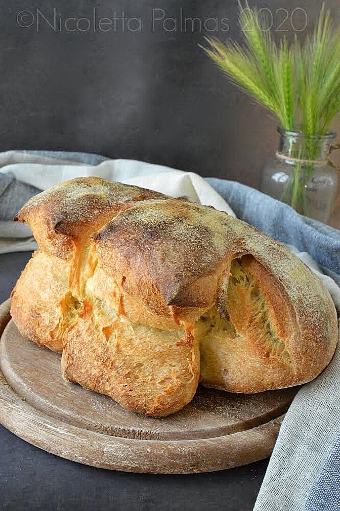Bread And Butter Ricette Facili E Gustose Pane Di Matera A Lievitazione Naturale