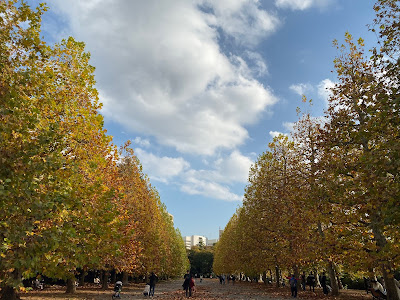 color test_tree and sky_iphone 11 pro