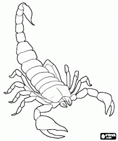 La Chachipedia: Dibujos para colorear de alacranes o escorpiones