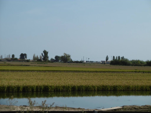 Brancal del Delta de l'Ebre