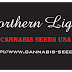 NORTHERN LIGHTS - 10 PACK