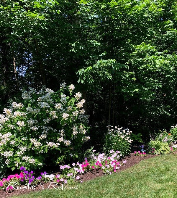 Lake County Indiana Master Gardener Garden Walk - House 4 Tour of gorgeous annuals, perennials and a porch!