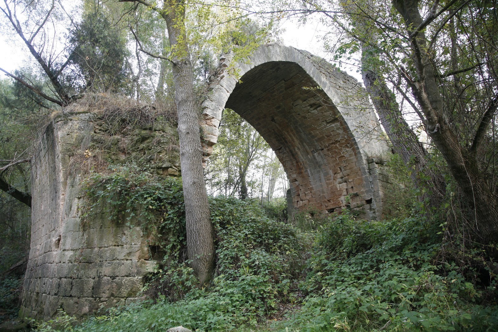CASTRILLO DE LA VEGA EL PUENTE EL ROQUE