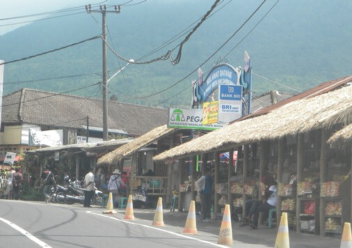 Merta Sari Market, Candikuning , Bedugul - Bedugul Botanical Garden & Bali Treetop - Botanic Garden Conservation International Bali (BGCI) Indonesia 