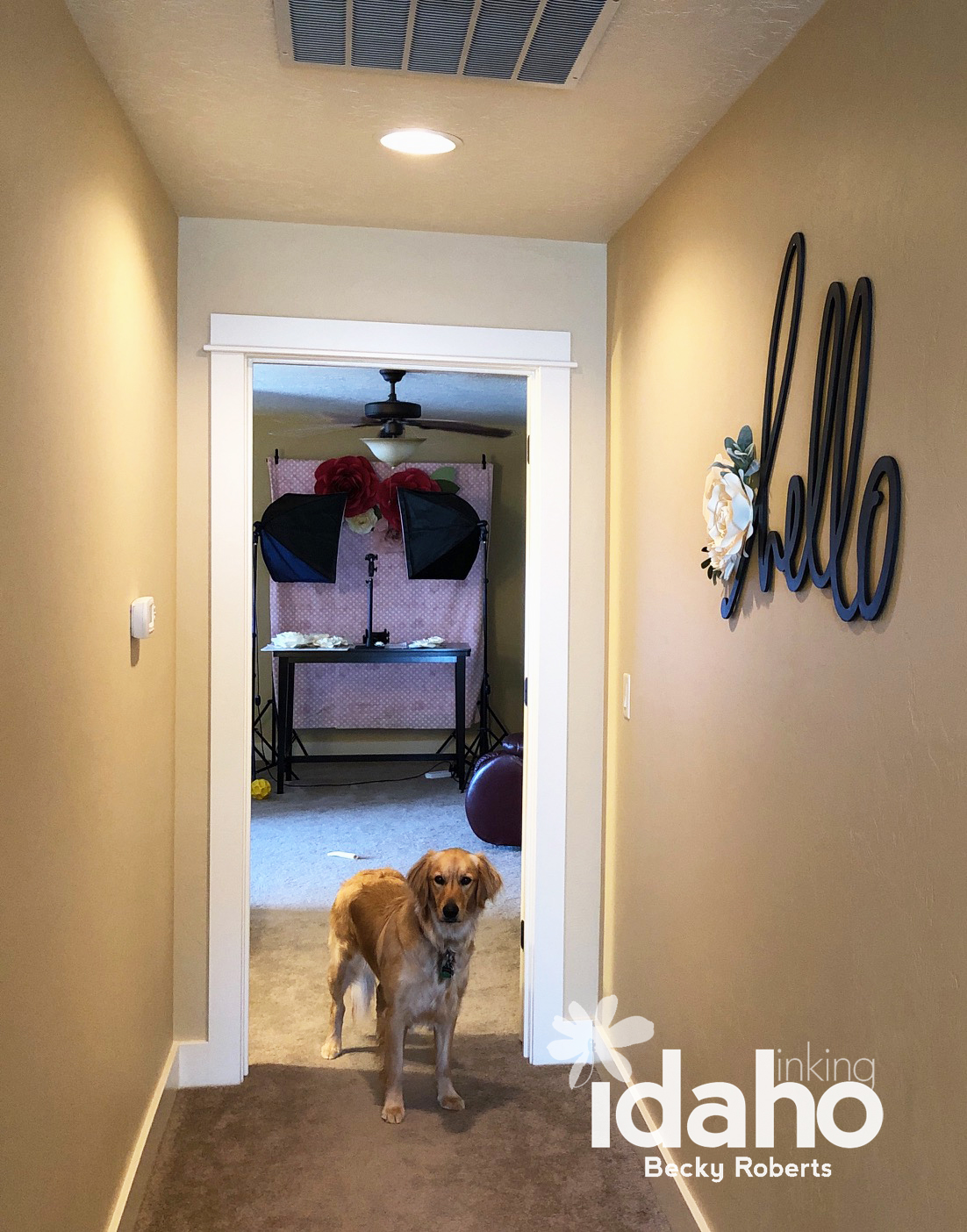 Inking Idaho Hello Heidi Wall Art