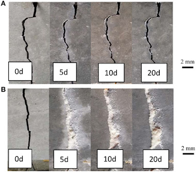 SELF HEALED CONCRETE IMAGE BIO-CONCRETE HEALED IMAGE