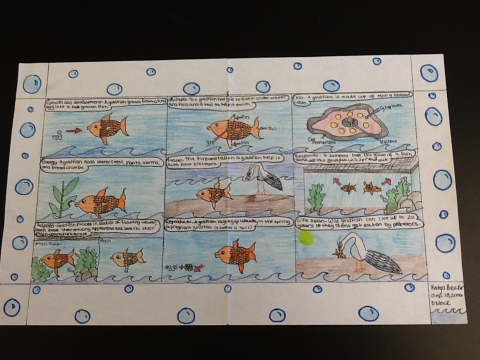 Ms Pratt s 7th Grade Science