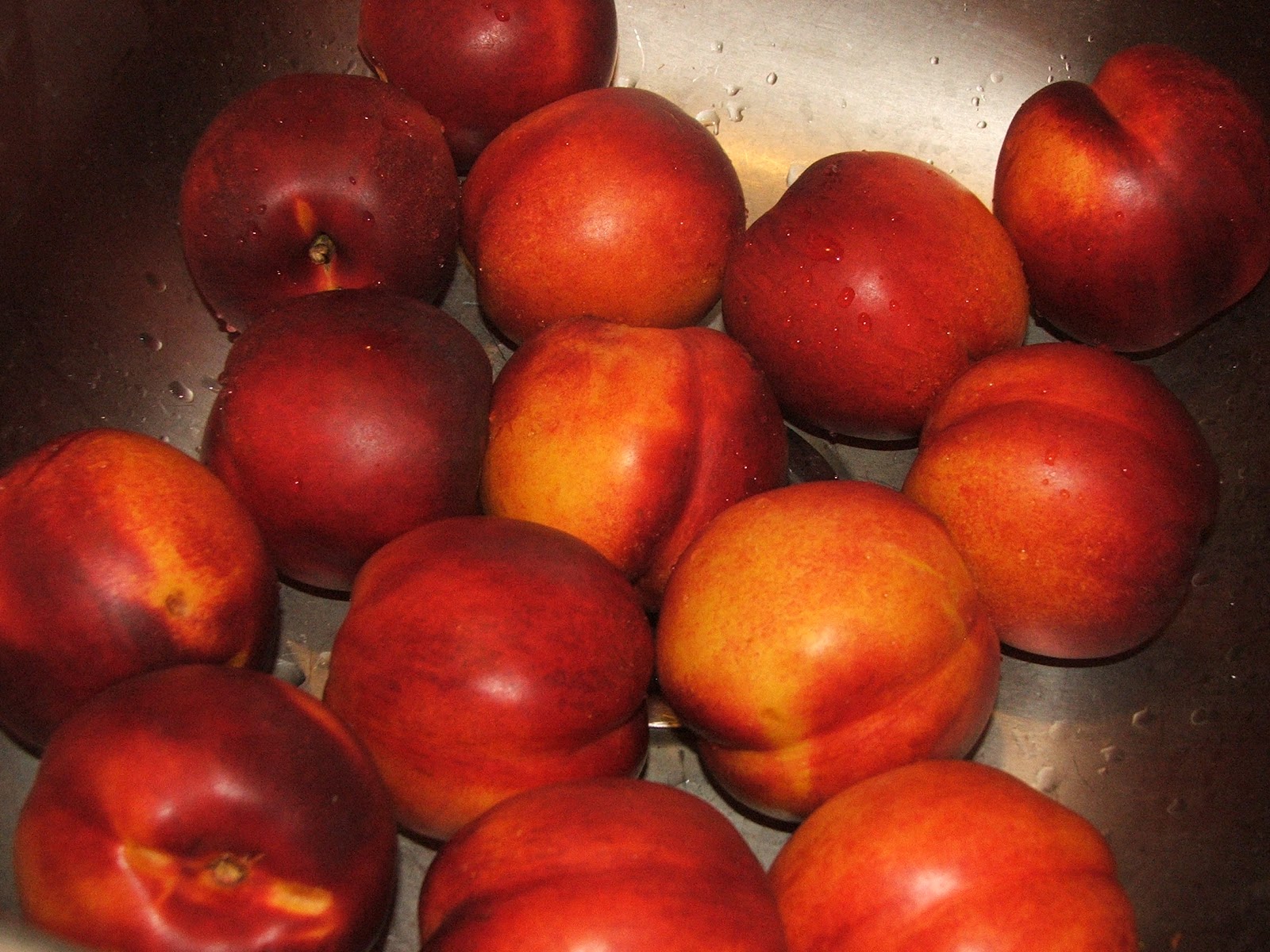 Canning Granny Canning Nectarine Chutney