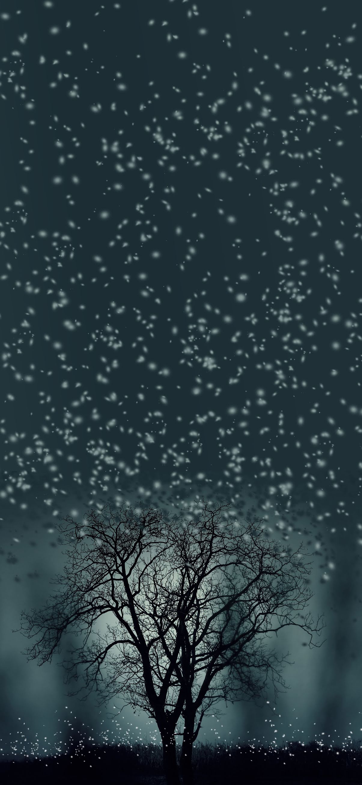 4K Wallpapers 19.5:9