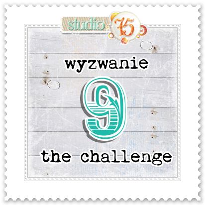 Blog studio75 - wyróznienie