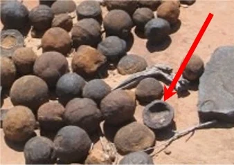 These objects have become known as the Klerksdorp spheres.