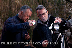 TALLERES Y CURSOS DE FOTOGRAFÍA CON PACO ELVIRA