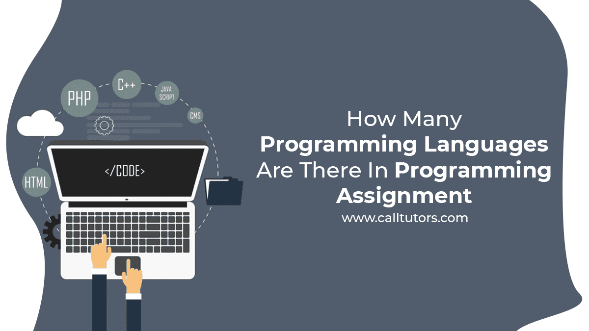 How Many Programming Languages Are There In Programming Assignment