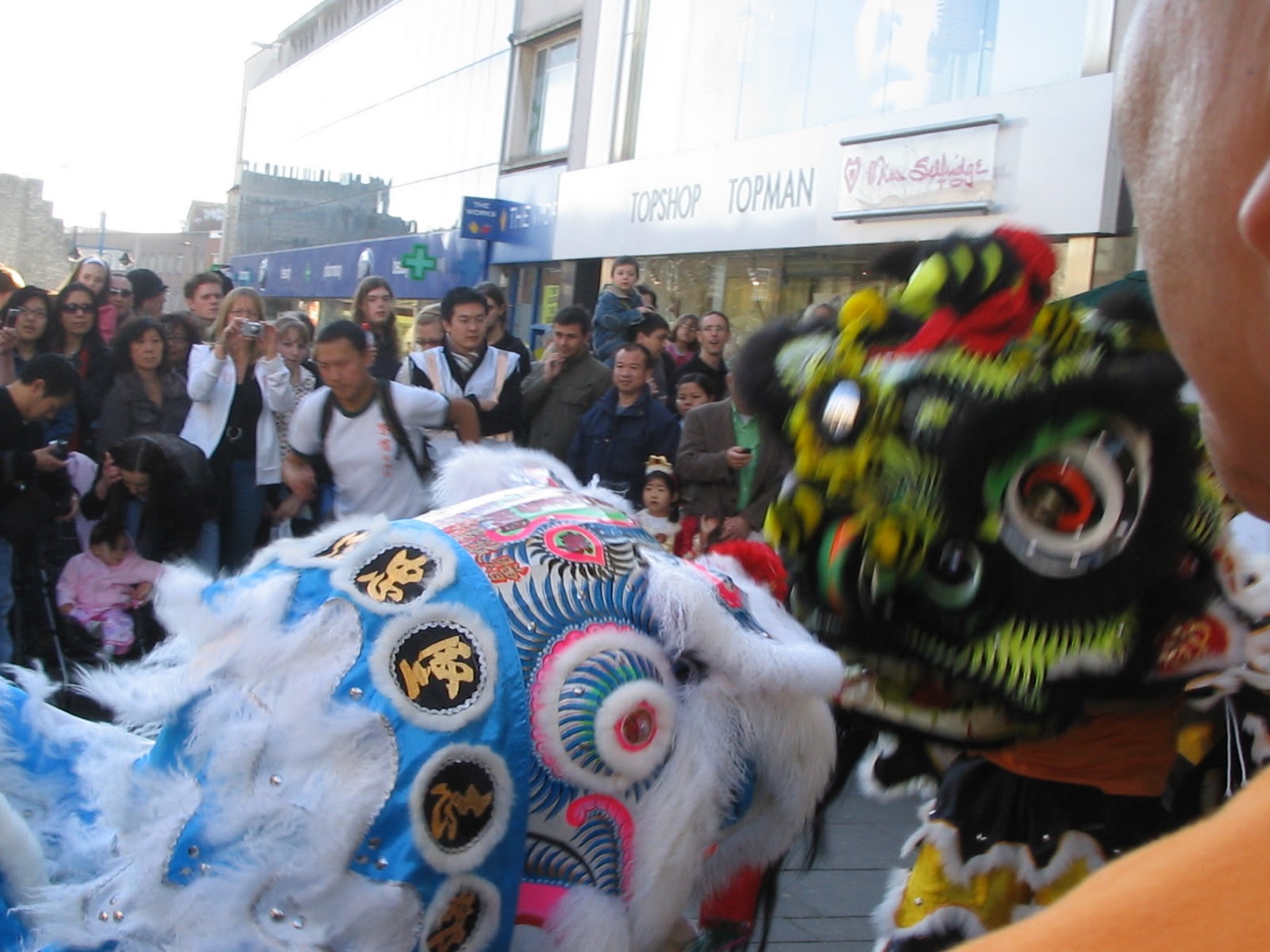 Taylored Curiosities Kung hei fat choy...