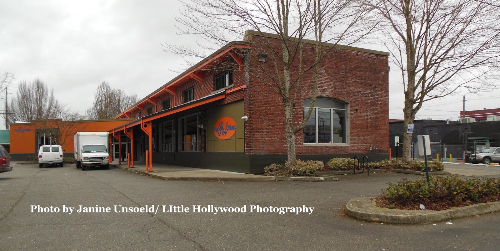 Little Hollywood The Pet Works To Open in Downtown Olympia
