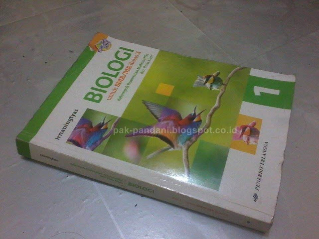 Cacing palolo yang bisa dimakan dan termasuk dalam kelas