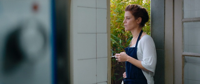 Dual Audio & Bollywood Movies-| English Movie-iYMovie.com