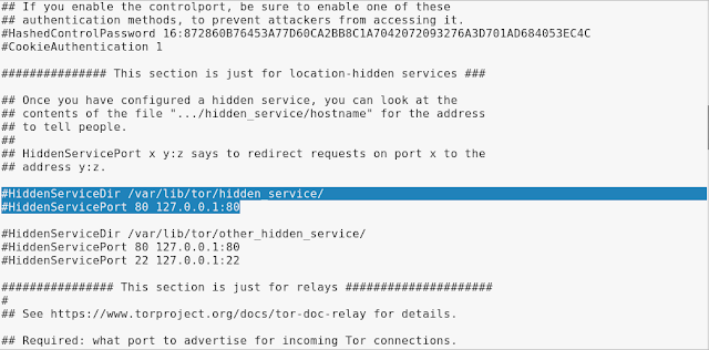 configuring torrc