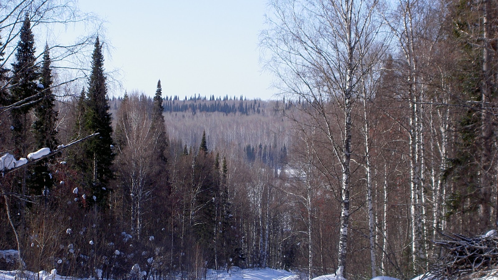 Beautiful snow wallpapers HD | (example: Best Theme)