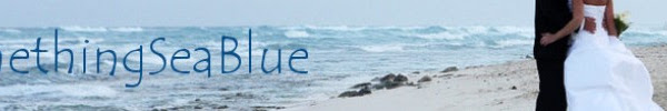 SomethingSeaBlue Review & Giveaway