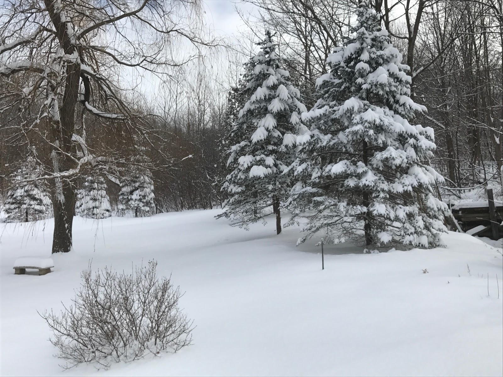 Matt's Weather Rapport Yesterday's Vermont Snowstorm Dumped A Pretty