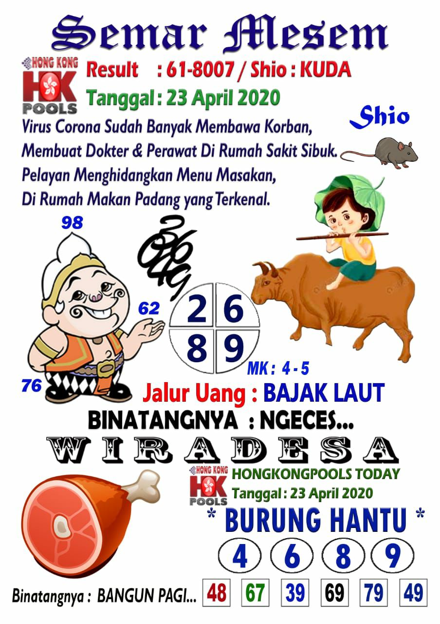 45 Prediksi Bocoran Hk Burung Hantu Background