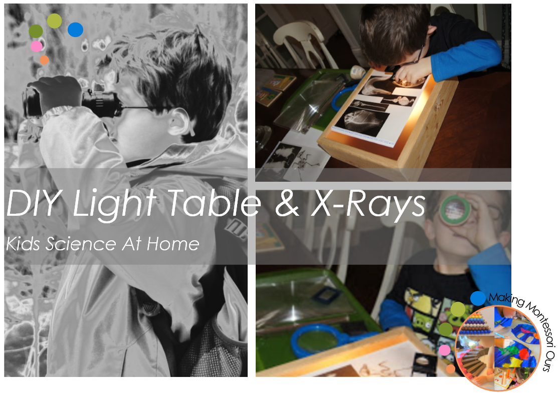 DIY Light Box & XRays, Science For Kids At Home "Making Montessori Ours"