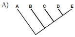 A A