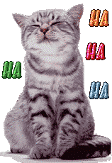 gato_ha_ha.gif
