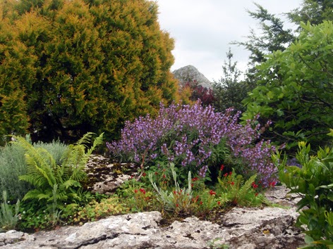jardín de roca