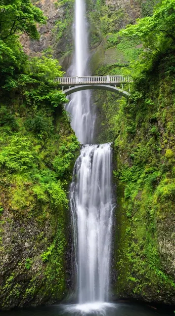 Beautiful Bridge Over Waterfall Wallpaper For Phone