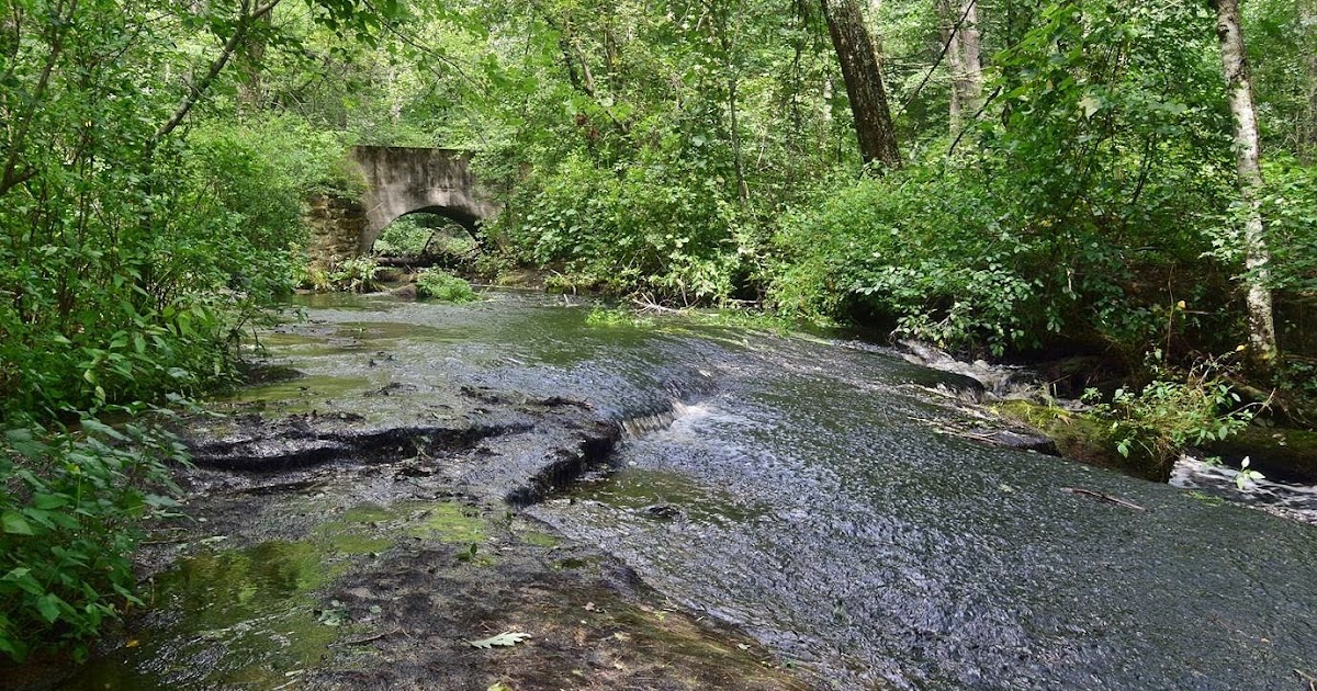Waterfall Hero Hikes Arcadia Management Area
