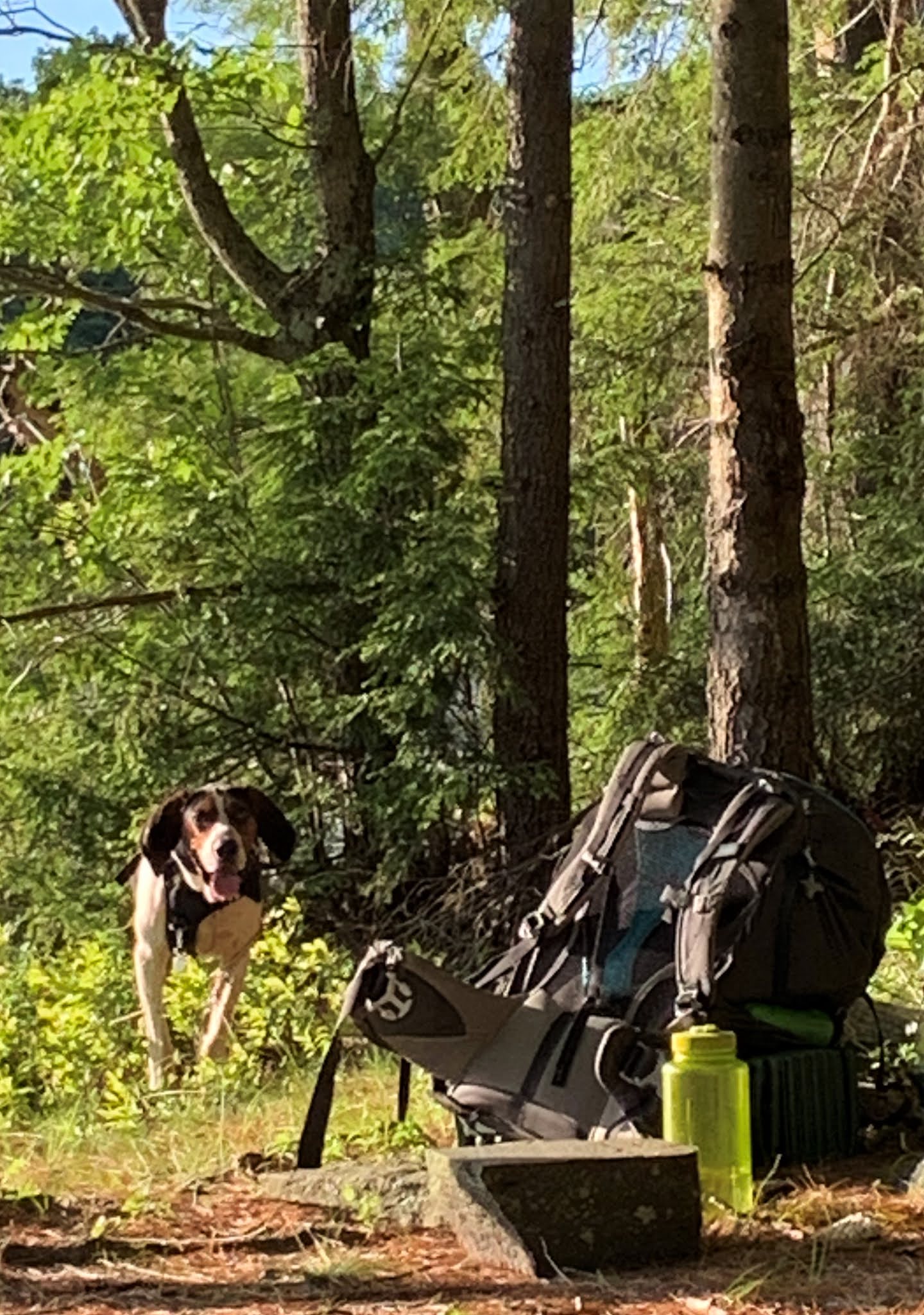 mid state trail thru hike
