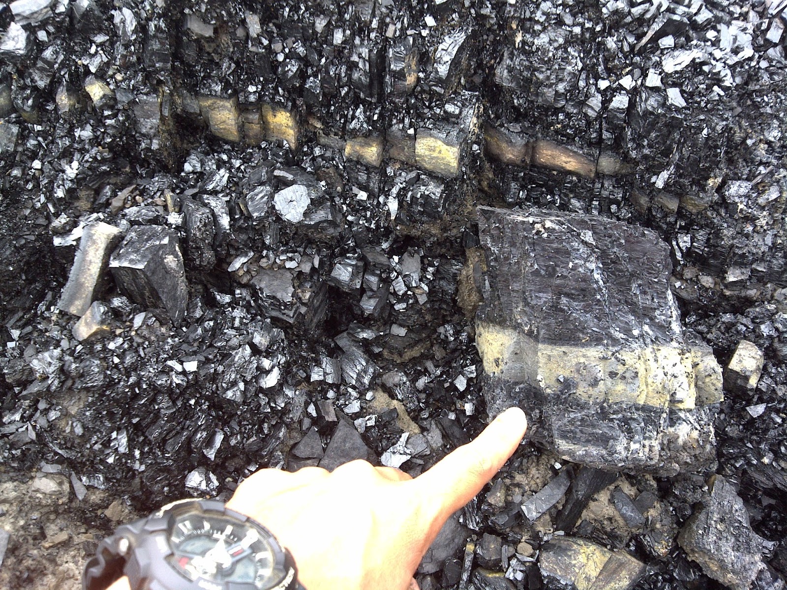 Batubara Tentang Batubara