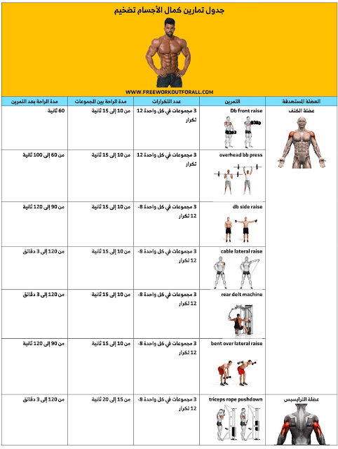 جدول تمارين كمال الاجسام تضخيم