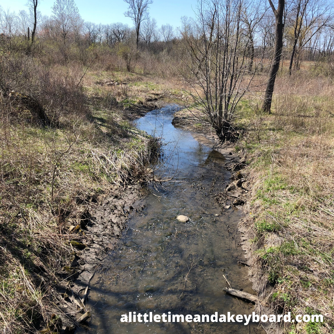 A Little Time and a Keyboard Surrounded by Nature at Heron Creek