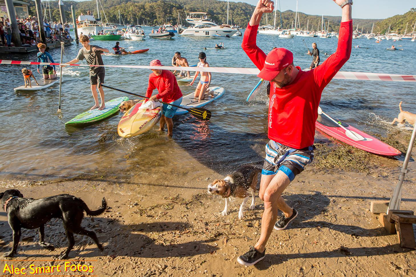 2019 Scotland Island dog swimming race wild card entrant