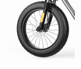 Fat Bike Coswheel T20