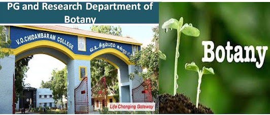 Department of Botany