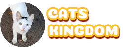 Cats Kingdom