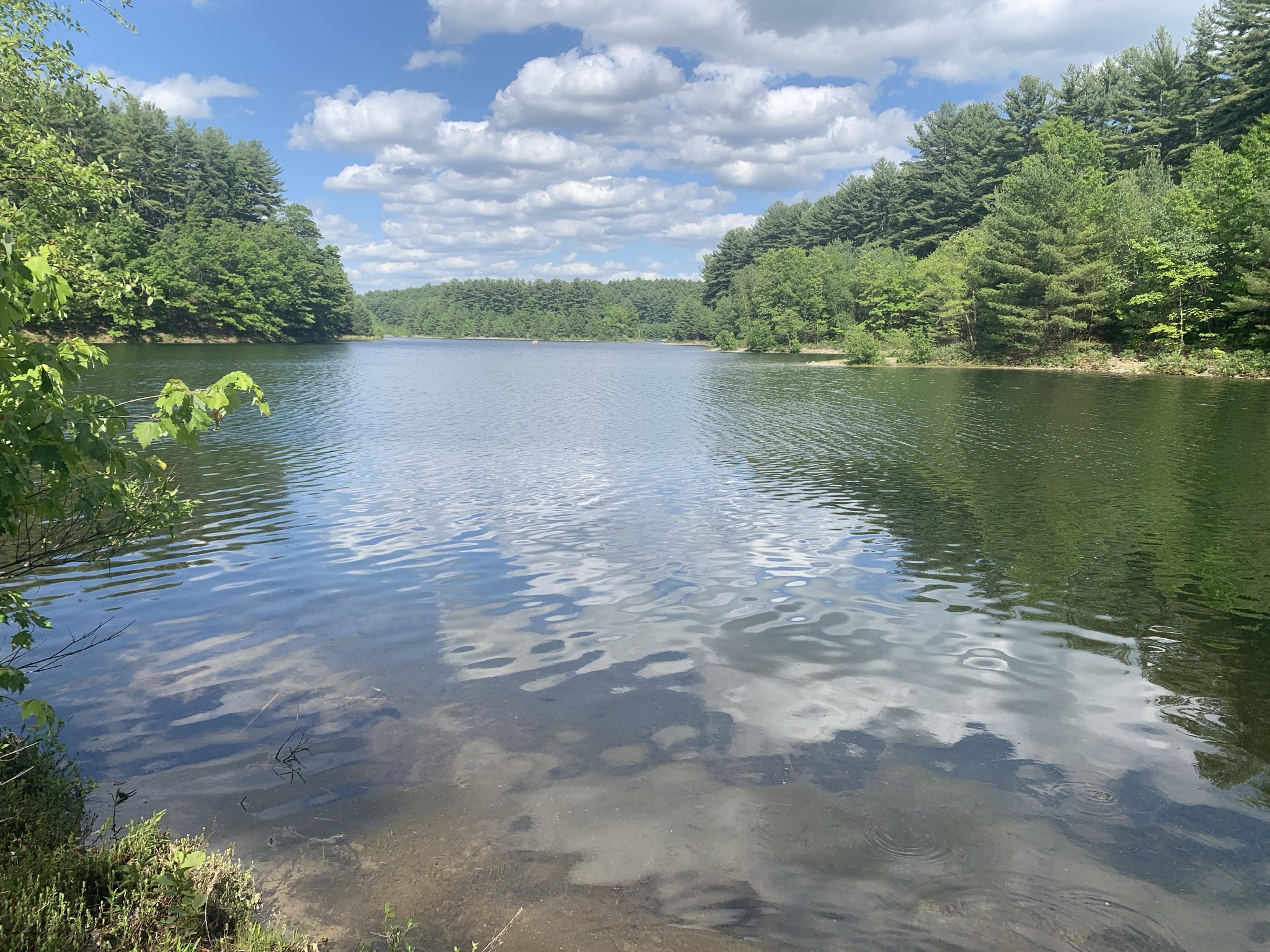 JCXC Wachusett Reservoir Trails Sawyer Bluff (Boylston, MA)