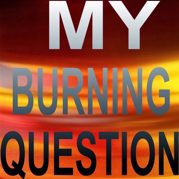 The Wordsmith Mom My Burning Question of the Day