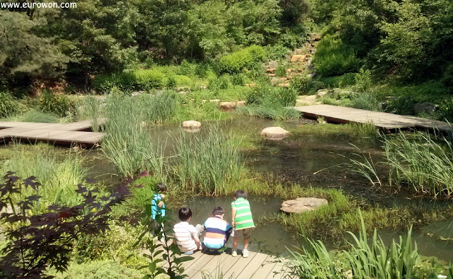 Niños jugando en estanque de la montaña Ansan