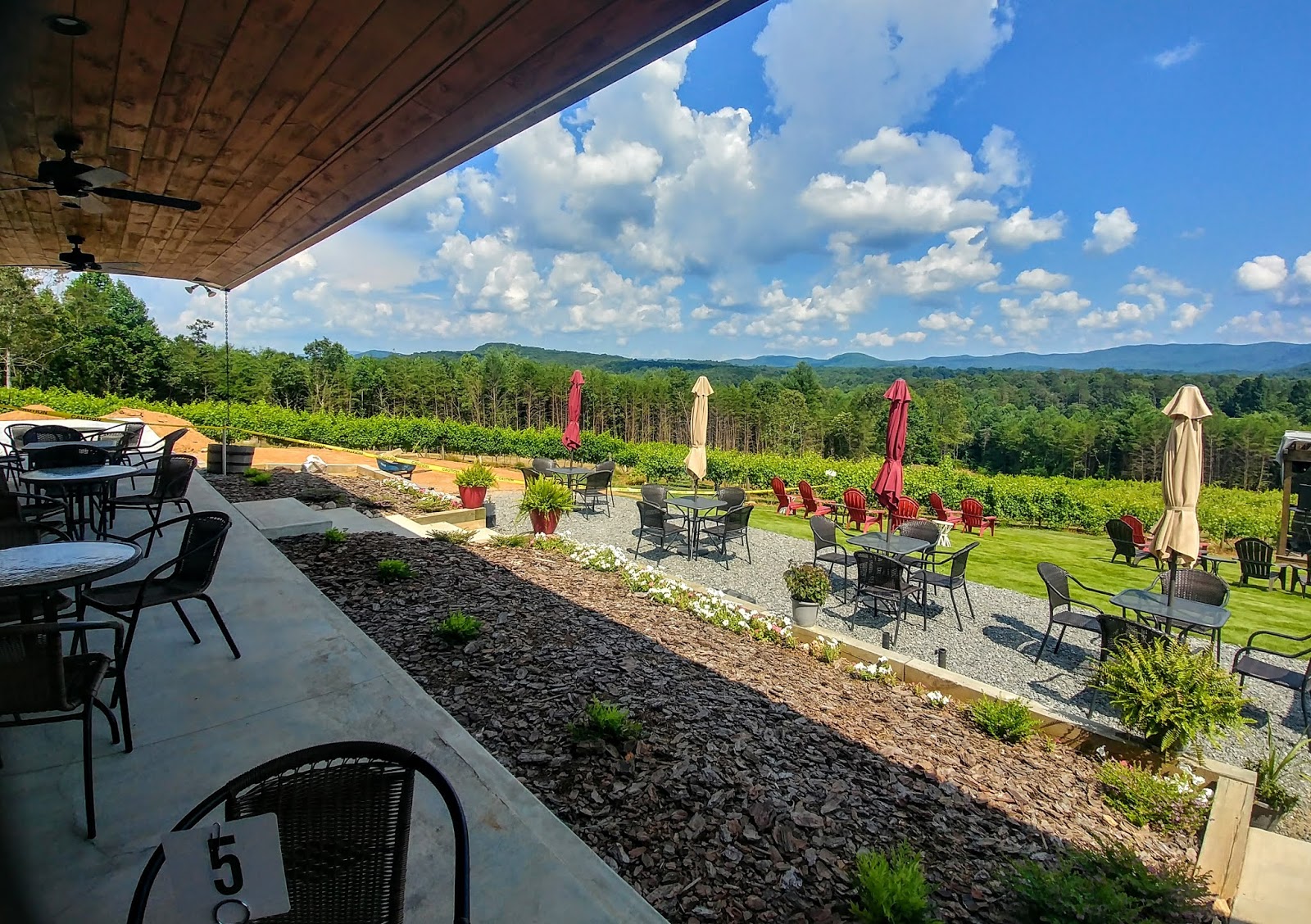 Another Mile Another Destination Blog Ott Farms and Vineyard, Ellijay