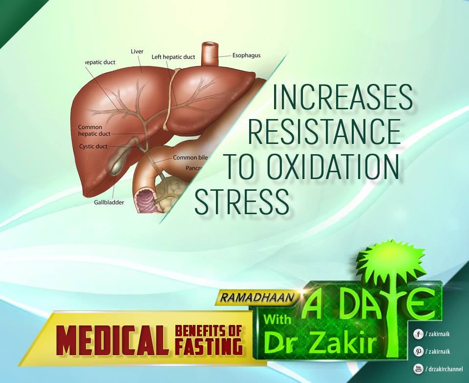 INCREASES+RESISTANCE+TO+OXIDATION+STRESS