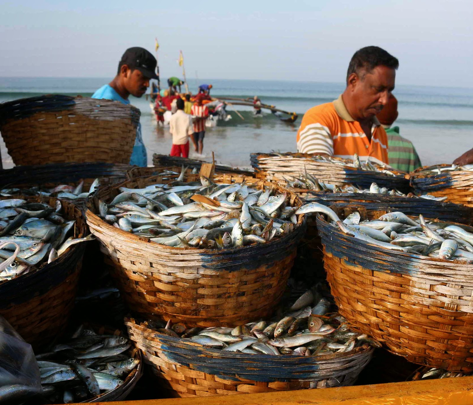 Промыслы в океане. Рыболовство в Юго Восточной Азии. Рыболовство в Индии. Рыбаки в Индии. Рыбный промысел Индия.