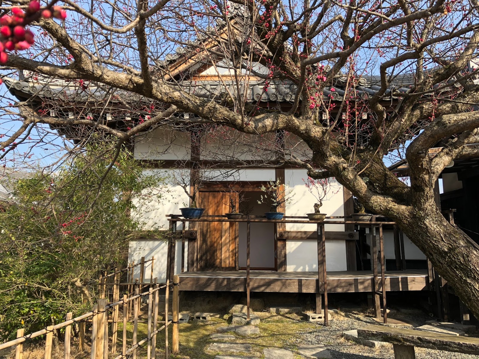 Move On 旅食 奈良 大和郡山郡山城跡旁盆梅展