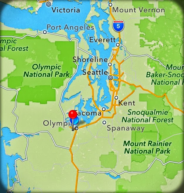 thurstonliving 2016andbeyond West Olympia Home Sales Snapshot YTD 2013